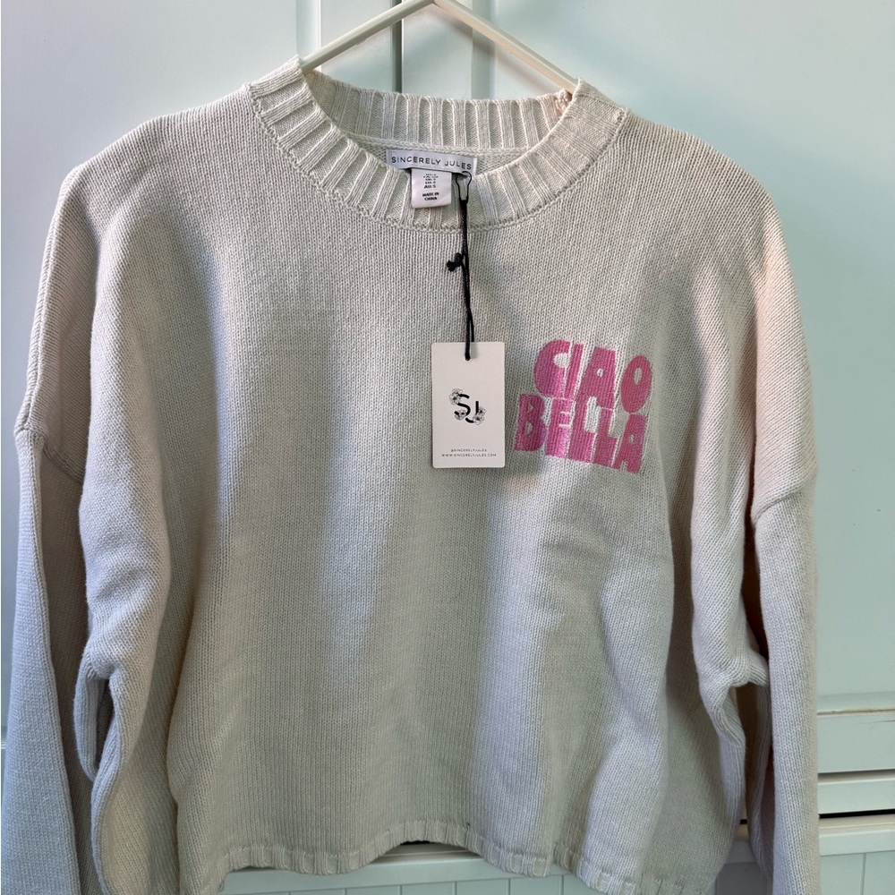 Sincerely Jules Cream and Pink Crew Neck Sweater